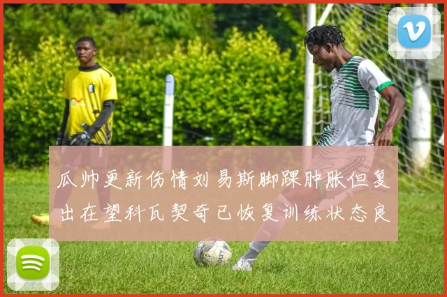 瓜帅更新伤情刘易斯脚踝肿胀但复出在望科瓦契奇已恢复训练状态良好